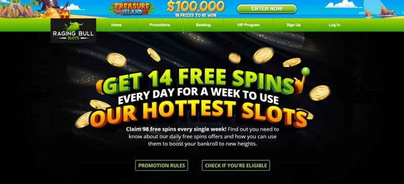 Overview of bull spins
